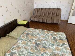 Гостиница Много квартир на улице Отрадная 79 Ульяновск Апартаменты с 1 спальней-1